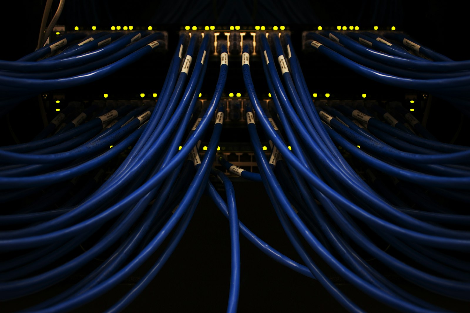 Bundles of blue network cables in a server room